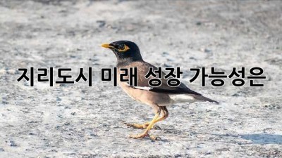 지리도시: 미래 성장 가능성은?